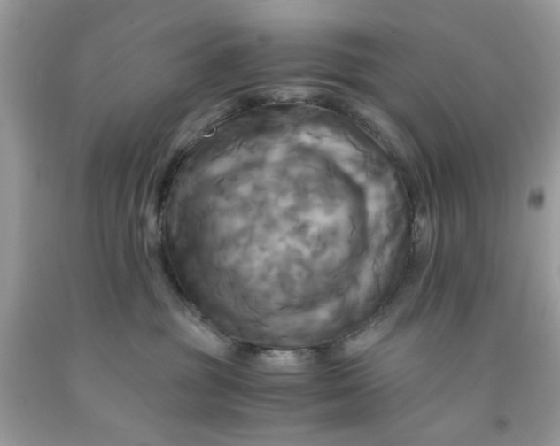 X0000091710381200709141125