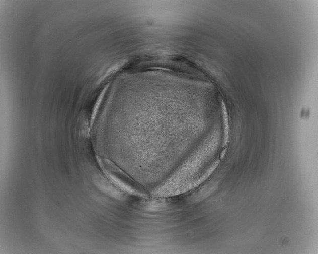 X0000091710384200709141125