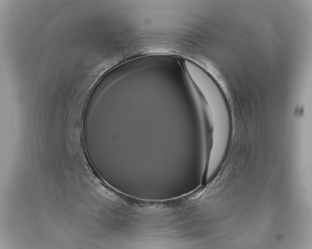 X0000091710385200709141125