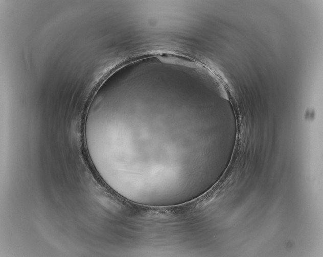 X0000091710386200709141125