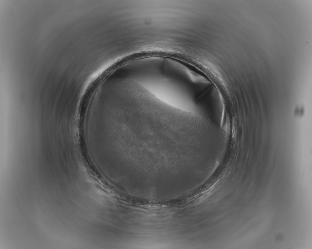 X0000091710388200709141125