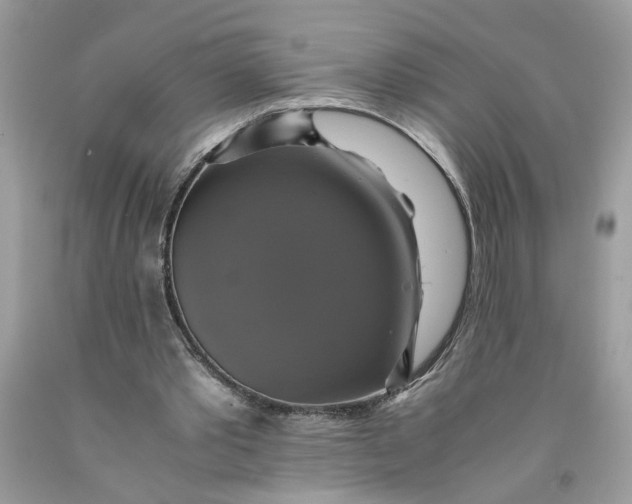 X0000091710389200709141125