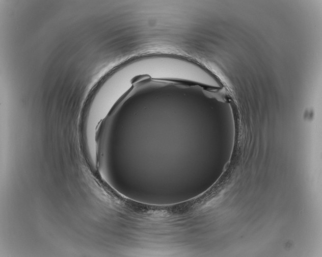 X0000091710391200709141125