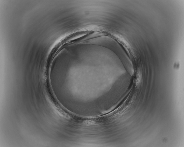 X0000091710392200709141125