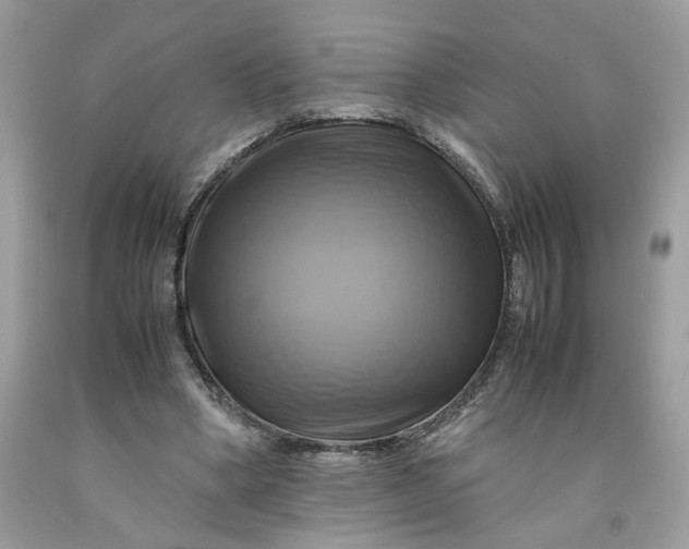 X0000091710394200709141125