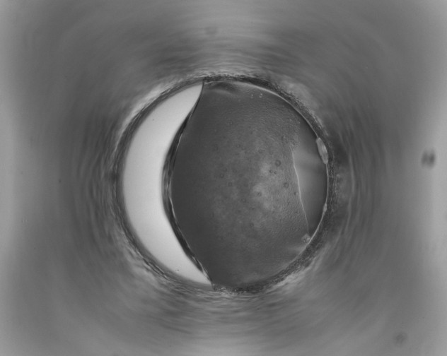 X0000091710395200709141125