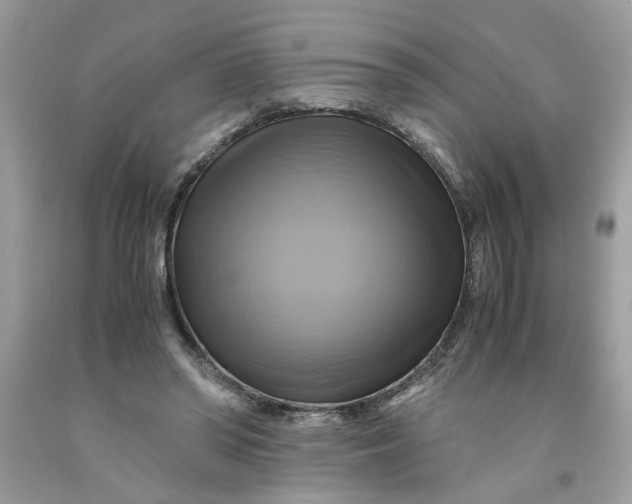 X0000091710398200709141124