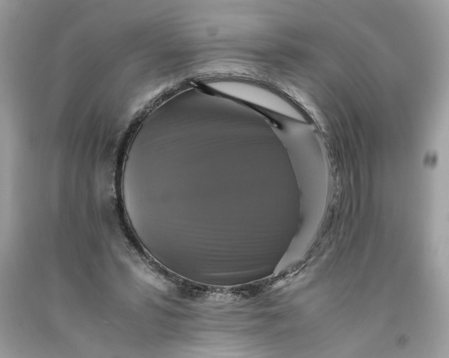 X0000091710399200709141124