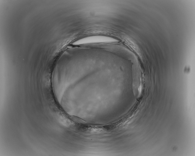 X0000091710401200709141124