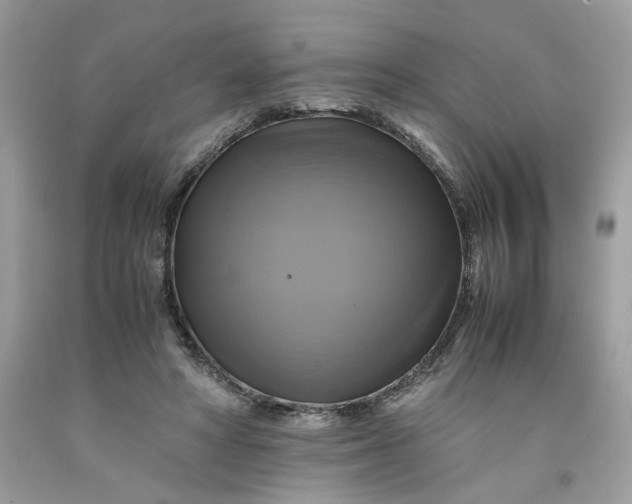 X0000091710402200709141124