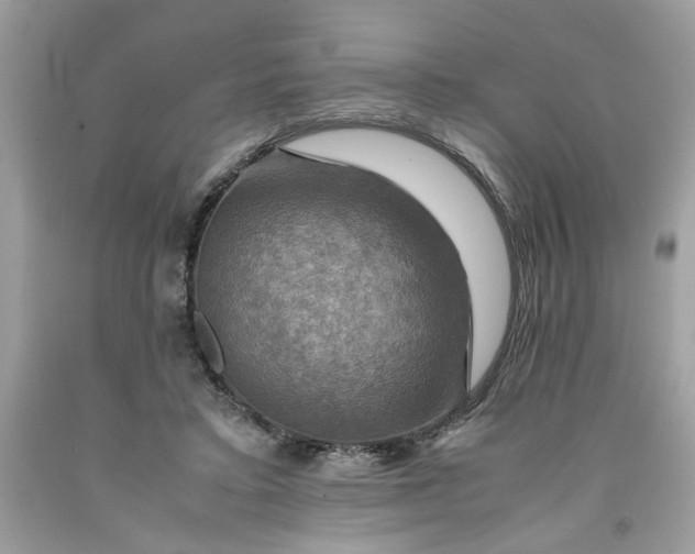 X0000091710403200709141124