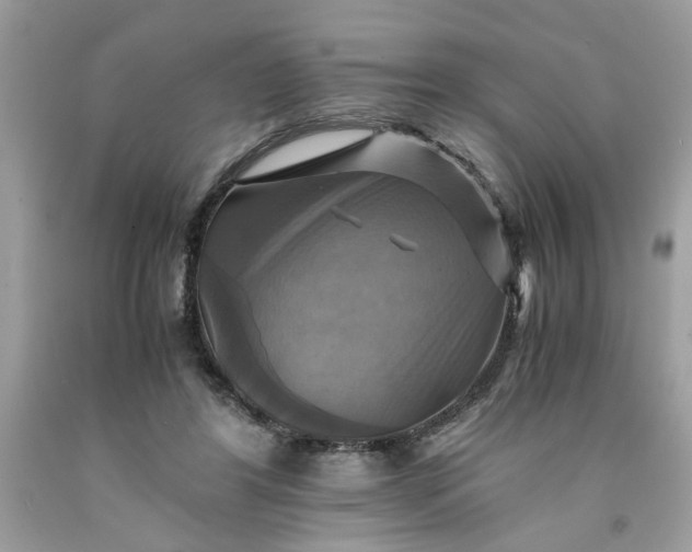 X0000091710404200709141124