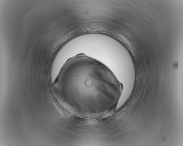 X0000091710405200709141124