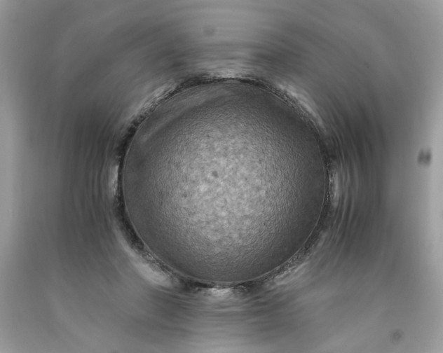 X0000091710406200709141124