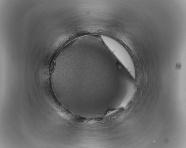 X0000091710407200709141124