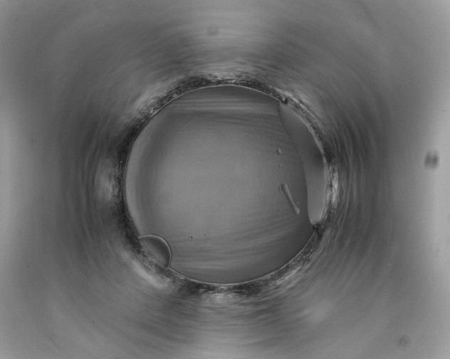 X0000091710408200709141124