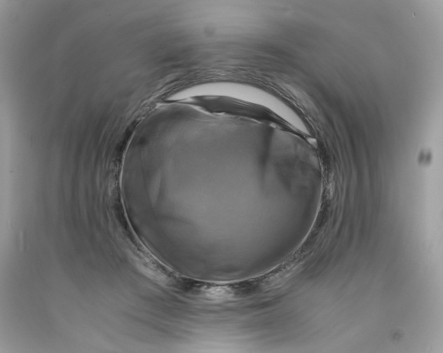 X0000091710409200709141124