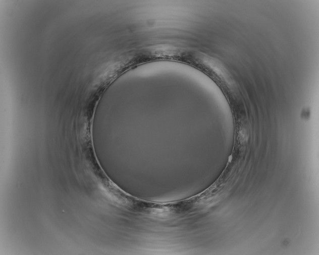 X0000091710411200709141124