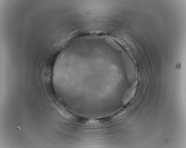 X0000091710413200709141124