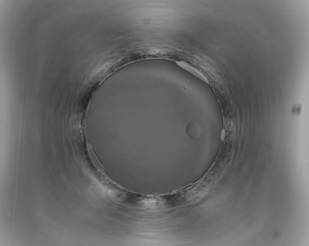 X0000091710415200709141124