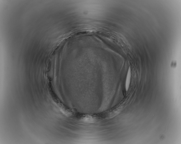 X0000091710416200709141124