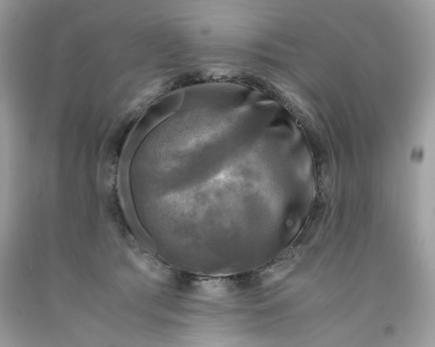 X0000091710417200709141124