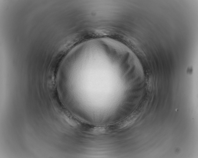 X0000091710418200709141124