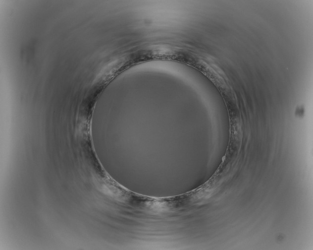 X0000091710419200709141124