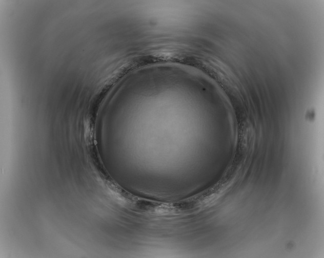 X0000091710420200709141124