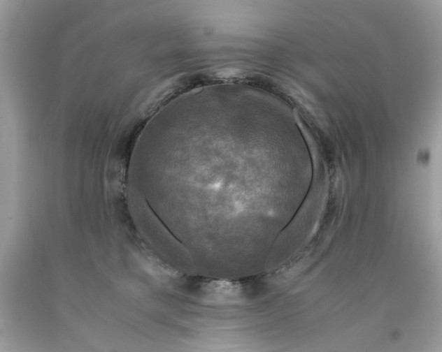 X0000091710421200709141124