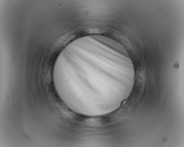 X0000091710422200709141124