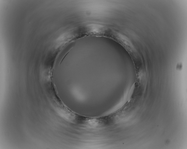 X0000091710423200709141124