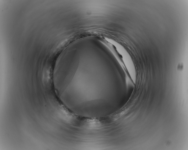 X0000091710424200709141124