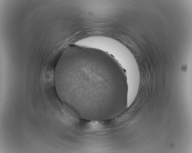 X0000091710425200709141124