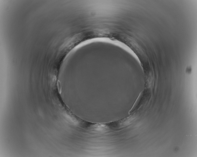 X0000091710427200709141124