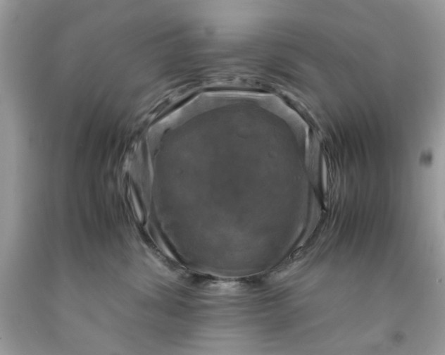 X0000091710428200709141124