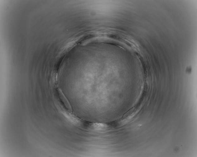 X0000091710429200709141124