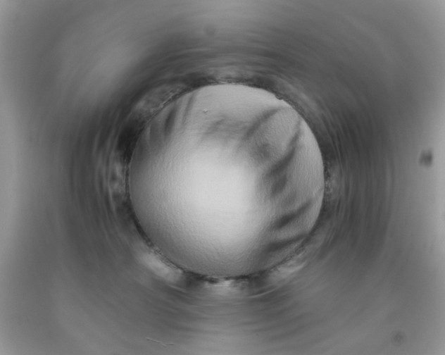 X0000091710430200709141124