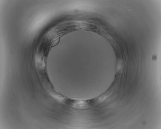 X0000091710431200709141124