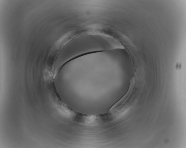 X0000091710432200709141124