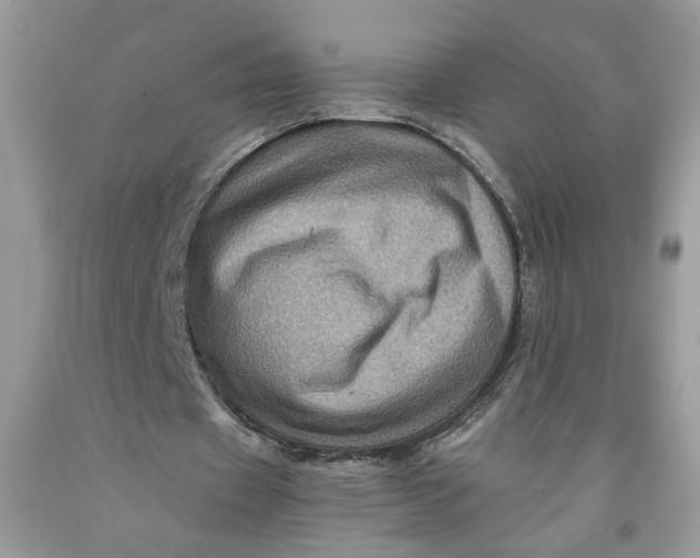 X0000091710433200709141123