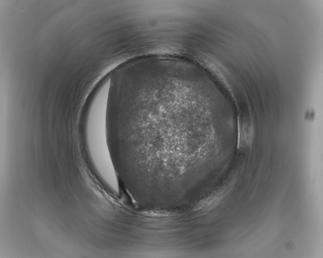 X0000091710435200709141123