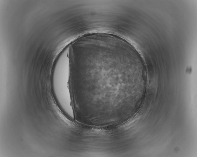 X0000091710437200709141123