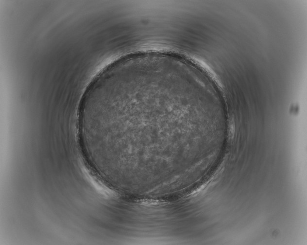 X0000091710439200709141123