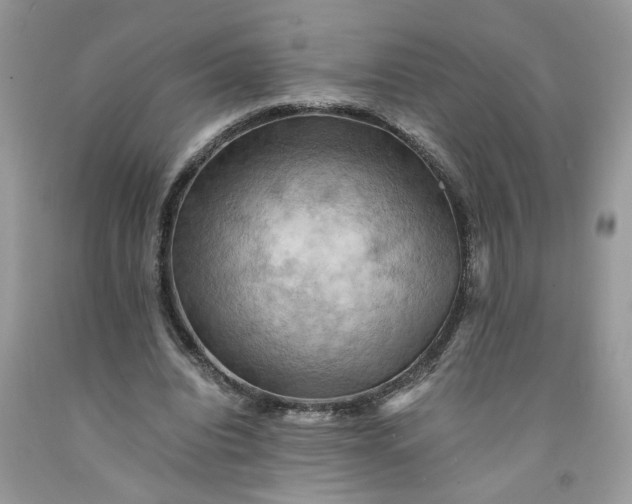 X0000091710440200709141123