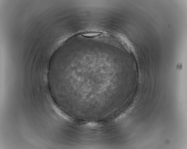 X0000091710441200709141123