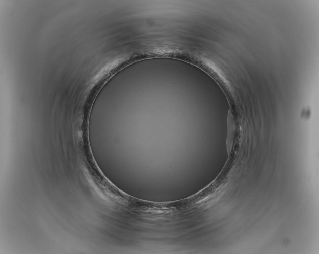 X0000091710443200709141123