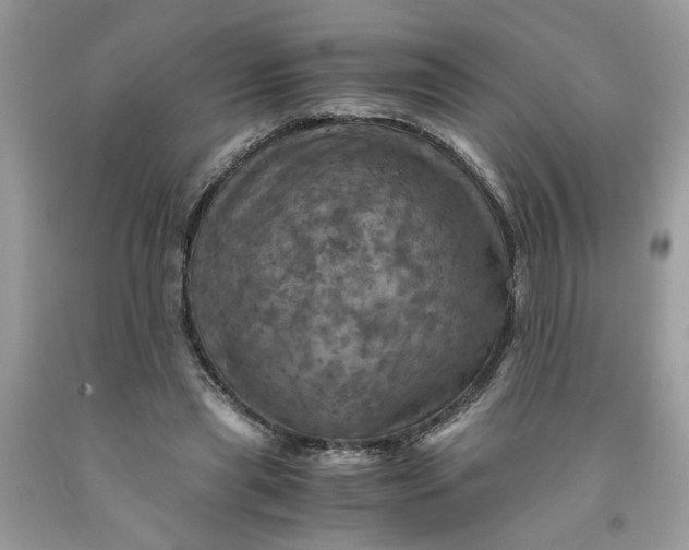 X0000091710445200709141123