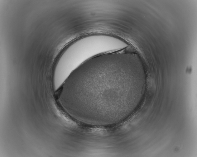 X0000091710446200709141123