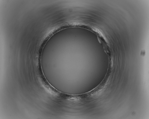 X0000091710447200709141123